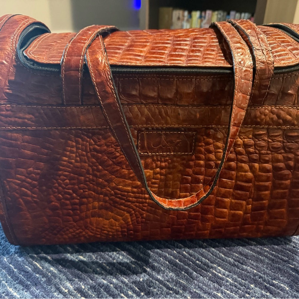 ARTO New York alligator pet carrier
